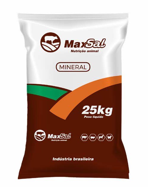maxsal mineral